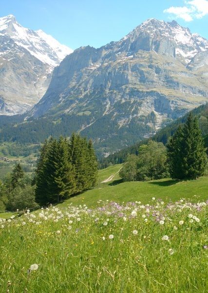 Swiss Alps in the summer can offer you hundreds of attractions: from hiking to amazing infinity pools (these are great in winter too), from paragliding to cable cars. Switzerland Photography, Infinity Pools, Cable Cars, Mountain Life, Peaceful Places, Swiss Alps, Green Juice, Nature Aesthetic, Pretty Places