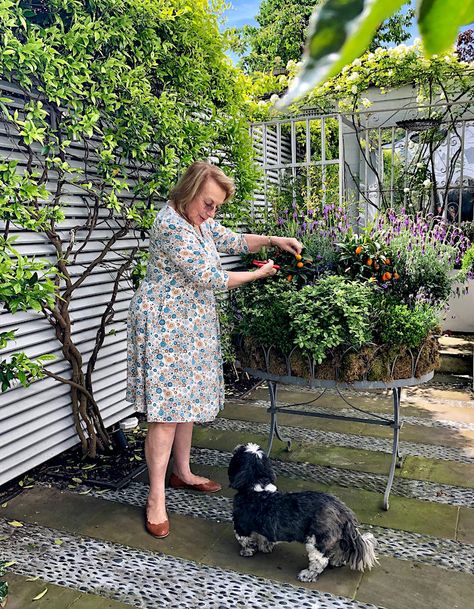 In London with Nina Campbell and dog Theo in her garden via Quintessence In Her Garden, Nina Campbell, London Today, Outdoor Inspirations, Lush Garden, English Countryside, Green Design, Outdoor Rooms, Container Plants