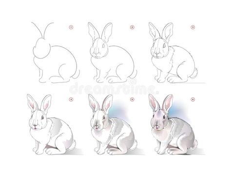 How To Draw A Rabbit Step By Step, How To Draw A Rabbit, Rabbit Drawing Tutorial, Drawing A Rabbit, Character Watercolor, Animal Paintings Acrylic, Copic Drawings, Rabbit Drawing, Step By Step Watercolor