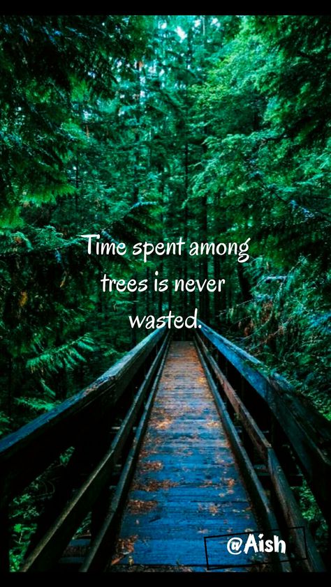 Trees Quotes Nature Thoughts, Caribbean Artists, Quotes About Hiking, Quotes From Instagram, Funny Hiking Quotes, Nature Quotes Beautiful, Walking Quotes, Short Travel Quotes, Nature Quote