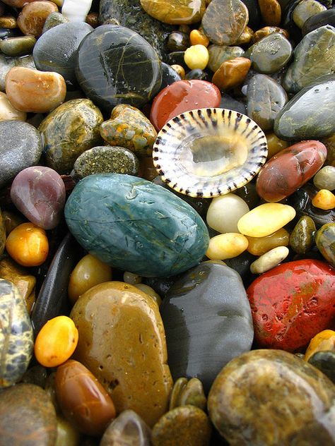 tumbled stone...color inspiration She Sells Seashells, Pot Pourri, 수채화 그림, Love Rocks, Sticks And Stones, Rocks And Gems, Foto Inspiration, Gems And Minerals, Stone Rocks