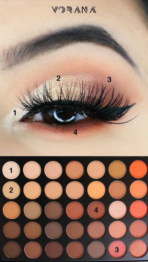 Morphe 350, Kuas Makeup, Morphe Eyeshadow, Membentuk Alis, Makeup Morphe, Makeup Tip, Natural Eyeshadow, Eye Makeup Steps, Beauty Make-up