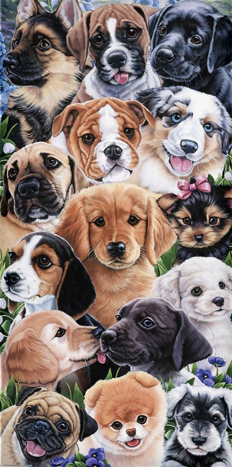 Cute Dogs Wallpaper, Dog Towel, Paws And Claws, Pool Towel, Beach Towels, Bath Towel, Soft Plush, Beach Towel, Pool