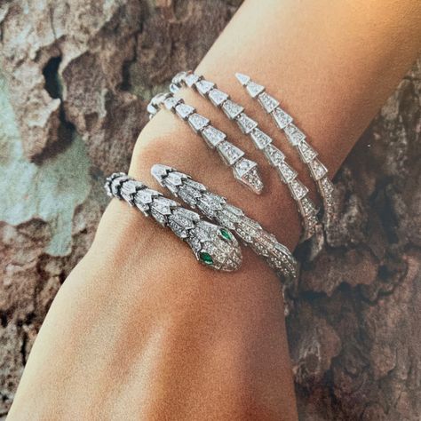 Bulgari Bracelet Snake, Bulgari Jewelry Bracelets, Bulgari Packaging, Bvlgari Jewelry Set, Bulgari Bracelet, Bulgari Watch, Bulgari Serpenti, Bulgari Jewelry, Rings Solitaire