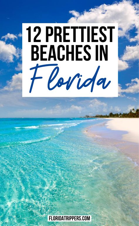 Most Beautiful Beaches In Florida, Day Trips Florida, Best Places In Florida To Vacation, Florida Trip Ideas, Best Family Beaches In Florida, Opal Beach Florida, Best Florida Beaches Families, Sea Side Florida, Best Places To Visit In Florida