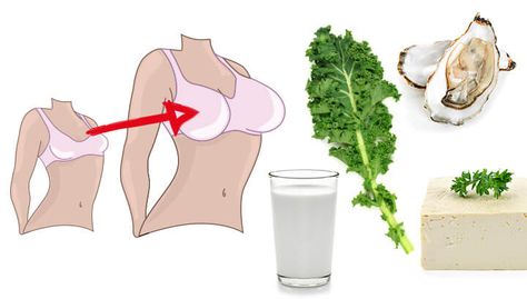 When it comes to the size of your breasts, your diet may play a bigger role than you think. Here are seven foods that may increase your breasts naturally. Breast Growth Tips, How To Get Curves, Natural Breast Enlargement, How To Get Bigger, Breast Workout, Pose Yoga, Breast Lift, Breast Augmentation, Natural Home Remedies