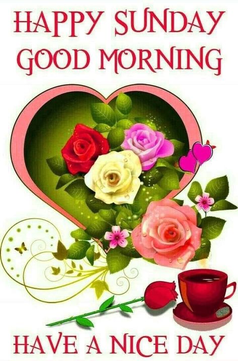 10 Beautiful Good Morning & Happy Sunday Greetings With Images Happy Sunday Images, Good Morning Sunday Images, Good Morning Sunday, Sunday Morning Quotes, Happy Sunday Morning, Sunday Greetings, Sunday Wishes, Sunday Blessings, Sunday Images