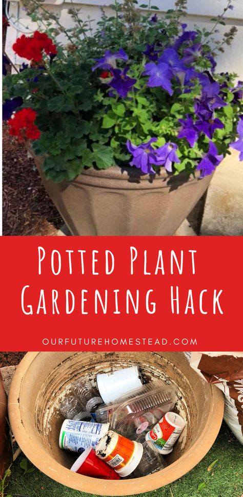 Learn a qick, easy, and free gardening hack for your potted plants that makes your life easier when using pots for planting around your home. Potting Plants For Beginners, Terra Cotta Pots Garden, Large Terracotta Pots, Small Terracotta Pots, Planting Pots, Potted Plants Outdoor, Garden Plant Pots, Plant Hacks, Plants Outdoor