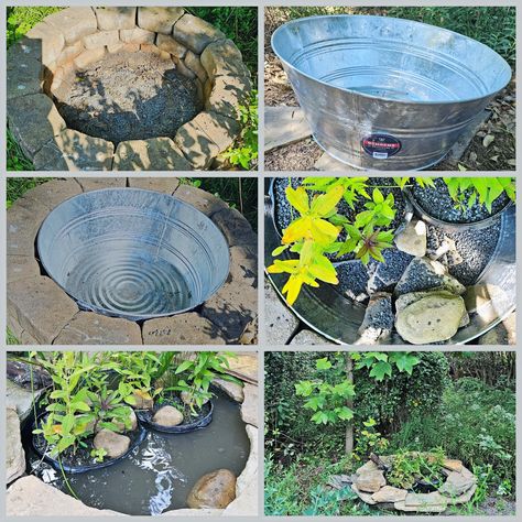 How to Make a Wildlife Container Pond Pond Ecosystem, Plastic Pond, Backyard Habitat, Container Pond, Ponds For Small Gardens, Black Willow, Mini Pond, Container Water Gardens, Patio Pond