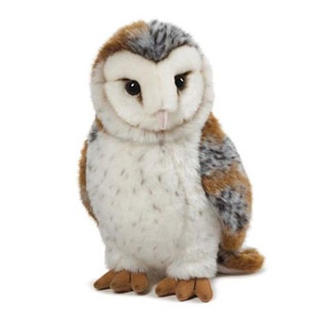 Webkinz Signature, Webkinz Stuffed Animals, Owl Plush, Cute Stuffed Animals, Barn Owl, Plush Animals, Cute Dolls, Soft Toy, Stuffed Animal