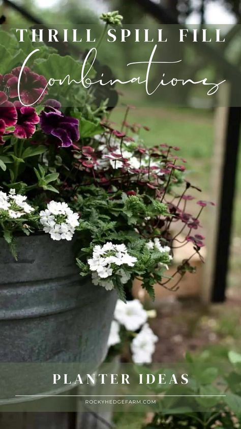 Simple Planters For Front Porch, Shaded Planter Box Ideas, Potted Arrangements Outdoor, Gorgeous Container Gardens, Potted Spring Flowers, 2024 Outdoor Planter Ideas, Entryway Flower Pots, Supertunia Latte Container Ideas, Cottage Planters Front Porches