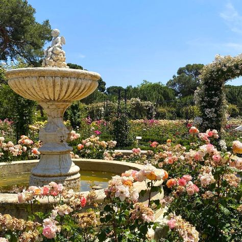 'La Rosaleda' rose garden in Retiro Park (Madrid, Spain). Madrid Botanical Garden, Rose Garden Aesthetic, Retiro Park Madrid, Spain History, Literature Project, Retiro Park, Formal Garden Design, Rose Gardens, Girls Tea Party