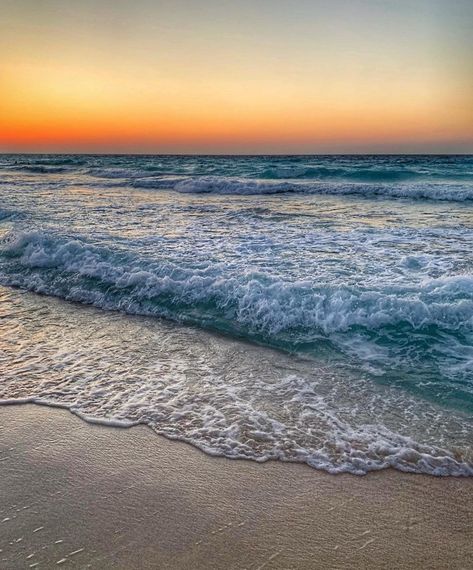 North coast, Egypt 🇪🇬 Sahel Egypt, North Coast Egypt, North Coast, Beautiful Sunset, Travel Pictures, The Ocean, Sea Shells, Beautiful Pictures, Egypt