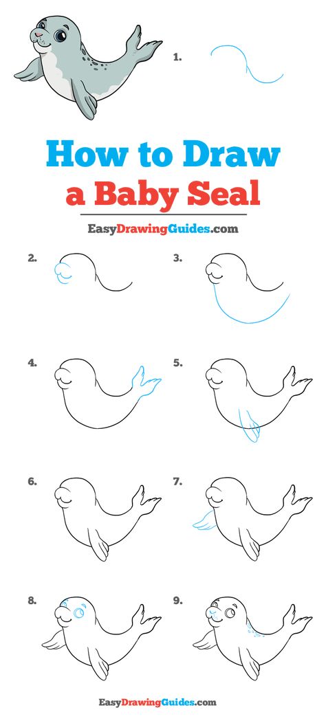 Seal Cartoon, Easy Drawing Guides, Harp Seal, Baby Animal Drawings, Drawing Guides, Seal Pup, Easy Drawing Tutorial, Baby Seal, Drawing Tutorials For Kids