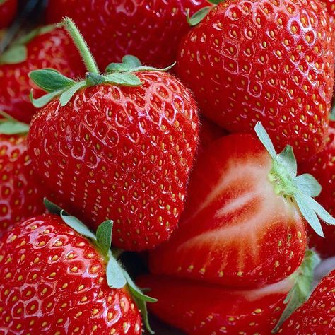 Everbearing Strawberries, Strawberry Varieties, Root Plants, Sauce Cocktail, Strawberry Planters, Strawberry Seed, Growing Strawberries, Strawberry Plants, Fruit Seeds