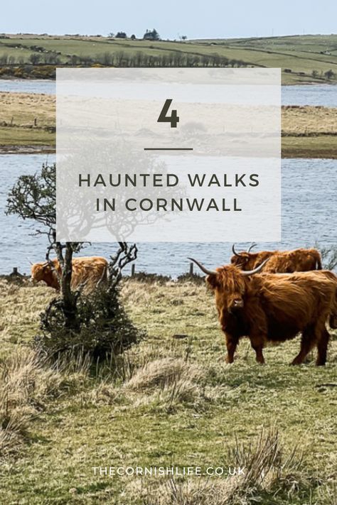 Things To Do In Cornwall, Jamaica Inn, Weird Places, Travel Places, Ghost Stories, Underworld, A Walk, Beautiful Beaches, Cornwall