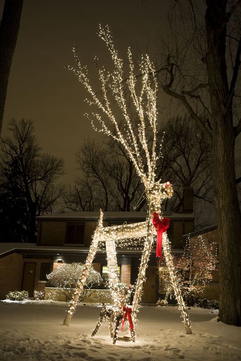 Christmas Lights Extravaganza! | Remodern Ranch Drive Thru Christmas Lights, Winter Decorations Outdoor, Christmas Outdoor Ideas, Outdoor Christmas Reindeer, Outdoor Xmas Lights, Outdoor Christmas Light Displays, Christmas Ceiling Decorations, Exterior Christmas Lights, Holiday Lights Outdoor