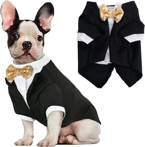 Who's ready for new year ? Dog Tuxedo Wedding, Dog Wedding Bandana, Formal Dog, Dog Tuxedo, Formal Tuxedo, Dog Suit, 골든 리트리버, Pet Halloween Costumes, Formal Suit