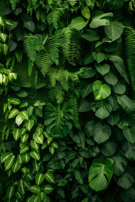 Discover and download free images Verdant Serenity: A Tapestry of Lush Green #Foliage https://aifusionart.com/verdant-serenity-a-tapestry-of-lush-green-foliage/?utm_source=facebook&utm_medium=social&utm_campaign=ReviveOldPost #ferns Foliage Aesthetic, Plant Texture, Office Idea, Beauty Aesthetic, Wall Texture, Green Foliage, Download Free Images, Green Wall, Lush Green