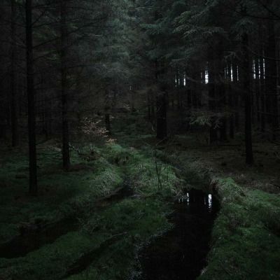 New Adventure Quotes, Dark Naturalism, Dark Forest Aesthetic, Dark Fairycore, Forest Core, Dark Green Aesthetic, My Fantasy World, Dark Nature Aesthetic, Dark Grunge