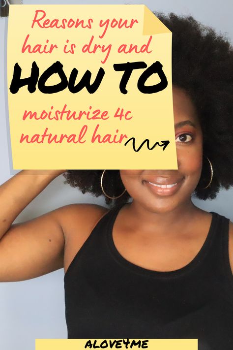 How To Treat Dry Ends Of Hair, How To Treat Natural Black Hair, Extremely Dry Hair Remedies, How To Get Moisture Back In Hair, Dry Hair Remedies For Black Women, Dry Scalp Black Women, Add Moisture To Dry Hair, How To Hydrate 4c Hair, Dry 4c Hair Remedies