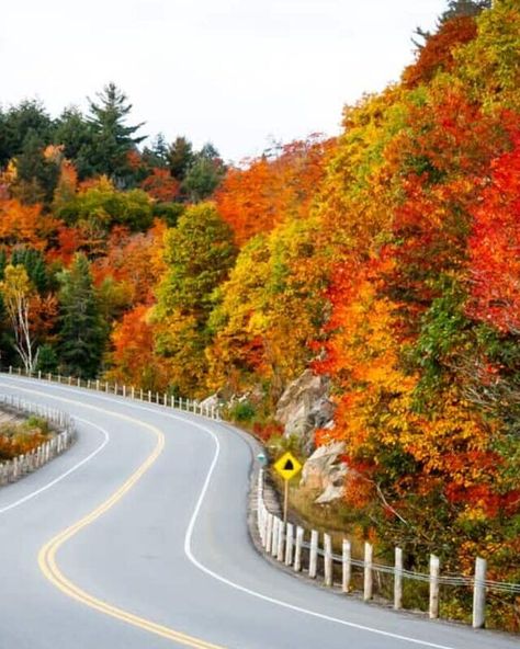 Fall Foliage in New England-where is the best color? – Travels With The Crew Kancamagus Highway, Tulum Travel Guide, White Mountain National Forest, Tulum Travel, Norman Rockwell Paintings, Spring In New York, New England Road Trip, Small Town America, The Berkshires