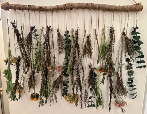 "Natural, sustainable, and eco-friendly dried hanging herb and flower wall decor: deliciously fragrant sage, rosemary, thyme, lavender, and eucalyptus, along with sunflower, rice flower, and yarrow These hanging herbs and flowers are a great way to add beauty and nature to any space in your home. They make a great gift too! Each hanging decor is unique. No two are the same. Give the herb and flower lover in your life a gift they will cherish for years. This botanical decor is a wonderful housewarming gift, thoughtful birthday present, romantic anniversary gift, and an excellent gift for a bride and groom, spouse, or friend. In addition to home decor, wedding and party spaces are enhanced and transformed by the rustic, beautiful look of these dried hanging herbs and flowers Size Options: Sm Rice Flower, Herb Wall, Hanging Herbs, Romantic Anniversary Gifts, Lavender Eucalyptus, Dried Lavender Flowers, Flower Confetti, Herbs And Flowers, Botanical Decor