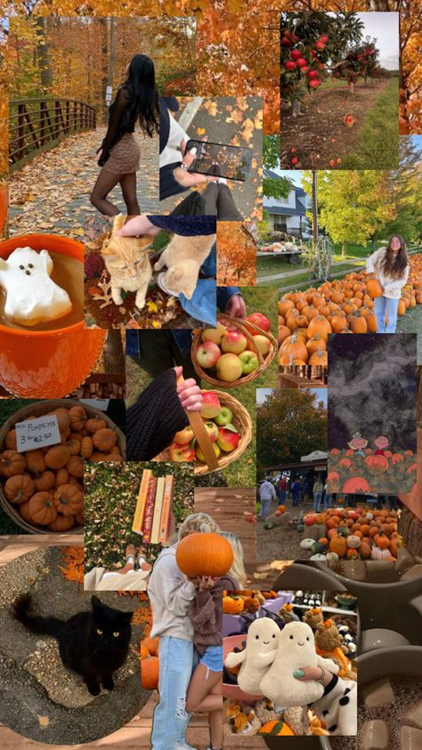 #autumn #fall #aesthetic #leaves #pumpkinpatch #boo #halloween #spookyseason Fall Aesthetic Leaves, Aesthetic Leaves, Autumn Fall Aesthetic, Fall Aesthetic, Autumn Fall, Pumpkin Patch, Halloween, Quick Saves