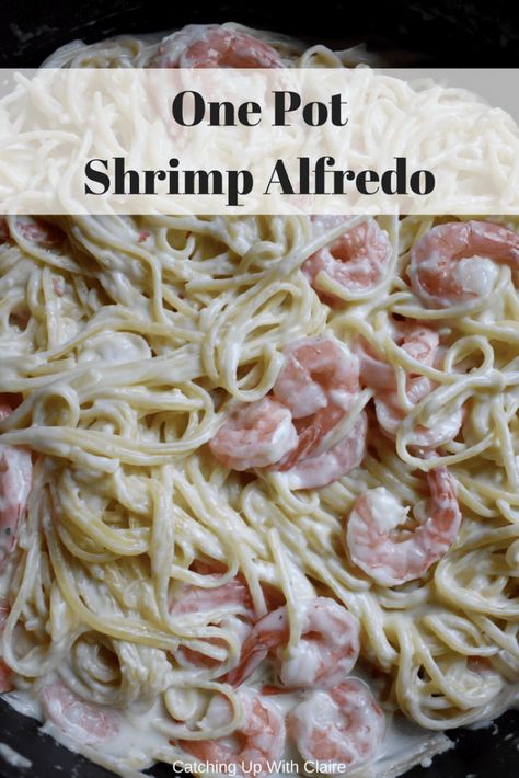 One Pot Shrimp Alfredo, Crock Pot Shrimp Alfredo, Crockpot Shrimp Alfredo Slow Cooker, Crockpot Shrimp Alfredo, Fettucini Alfredo With Shrimp, Homemade Shrimp Alfredo, Crock Pot Shrimp, Seafood Alfredo, Shrimp Alfredo Recipe