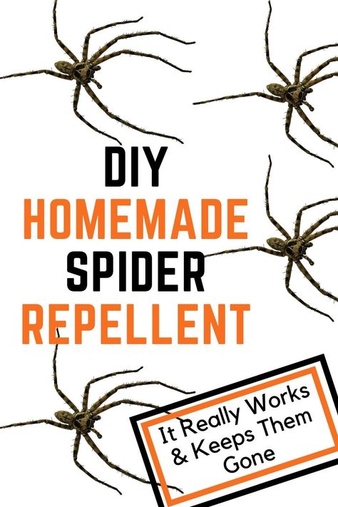 Spiders Repellent Diy, Spider Prevention, Outdoor Bug Repellent, Natural Spider Repellant, Spider Repellent, Homemade Bug Repellent, Repellent Diy, Spider Spray, Spider Killer