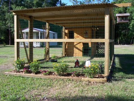 Our Garden Shed Chicken Coop | BackYard Chickens - Learn How to Raise Chickens Shed Chicken Coop, Aviary Ideas, Animal Homes, Cheap Chicken Coops, Vege Garden, Chicken Ideas, Raise Chickens, Coop Design, Best Chicken Coop