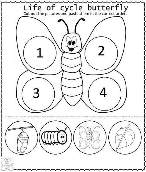 Life Cycle Of A Butterfly Toddlers, Lifecycle Of A Butterfly Preschool, The Very Hungry Caterpillar Life Cycle, Preschool Life Cycle Of A Butterfly, Butterfly For Preschoolers, Cycle Of Butterfly Preschool, Life Cycle Of A Caterpillar, Caterpillar Butterfly Preschool, Butterfly Lifecycle Preschool