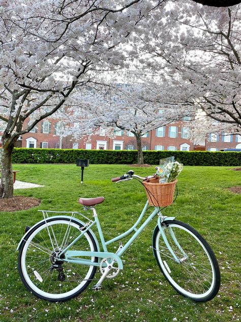 Blue Bike With Basket, Green Bike Aesthetic, Cottagecore Bike, Bicycles Aesthetic, Aesthetic Bicycle, Pretty Bikes, Spring Bicycle, Bicycle Aesthetic, Aesthetic Bike