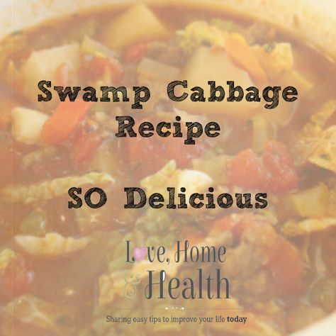 Swamp Cabbage Recipe - www.LoveHomeandHealth.com Fat Flush Soup, Swamp Cabbage, Homemade Chocolate Fudge, Slower Cooker, Food Chart, Deer Meat, Cabbage Soup Diet, Fat Flush, Cabbage Recipe