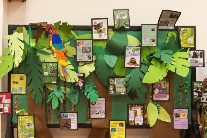 Jungle Photobooth, Layers Of The Rainforest, Rainforest Classroom, Facts About Plants, Biomes Project, Rainforest Project, Rainforest Biome, Creative Bulletin Boards, Jungle Theme Classroom