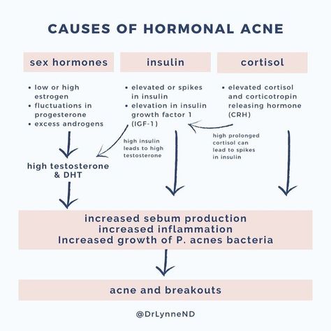 Dr Lynne ND | PMS & PERIODS ✨ on Instagram: "Hormonal acne is COMPLEX. The main takeaway from this is that causes of hormonal acne are interlinked. It’s never just one hormone which is why a comprehensive approach is needed to treat hormonal acne. - elevated androgens such as testosterone and DHT levels increase sebum production, inflammation, and the growth of P. acnes bacteria - Insulin spikes happen for some people and this directly affects our skin through sebum overproduction and inflamma Hormonal Chin Acne, Treat Hormonal Acne, Chin Acne, High Testosterone, Skin Facts, Healthy Hormones, Acne Causes, Hormonal Acne, Acne Solutions