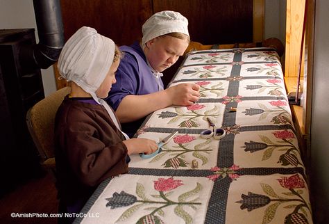 Amische Quilts, Amish Living, Crafts For Sale, Amish Culture, Making Quilts, Lancaster County Pa, Amish Community, Quilt Care, Amish Quilts