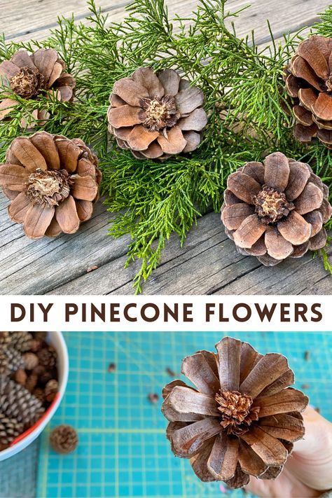 Pine Cone Crafts Diy Fall, Pinecone Baskets How To Make, Painted Pine Cones Flowers, Pinecone Mobile Diy, Pinecone Owls Diy, Pinecone Flower Ornament, Flowers From Pinecones, Fall Pine Cone Wreath Diy, How To Prep Pinecones For Crafts