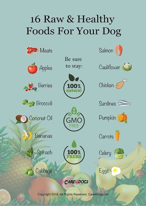 16 RawHealthy Food For Your Dog 🐶 Real Food For Dogs, Dog Diet Plan Healthy, Healthy Dog Food Toppers, Raw Dog Food Recipes For Beginners, Puppy Meals, Dog Raw Food Diet For Beginners, Dog Raw Food, Raw Diet For Dogs, Raw Food For Dogs