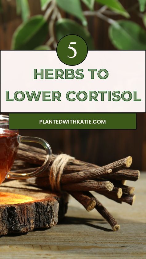 Top 5 Herbs For Cortisol (Support Your Adrenals) Herbs For Cortisol, Cortisol Balance, Adrenal Support, Adrenal Health, Herbal Healing, Herbal Remedies, The Top, Herbs, Health