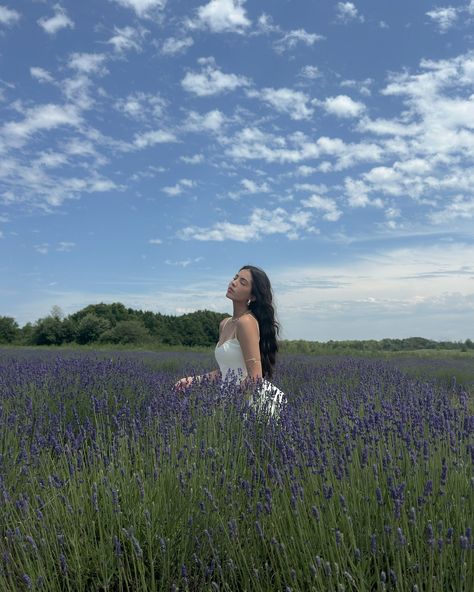 dreamiest high tea at the lavender farm 🪻 @avalonlavender @pompandcirc @pianopianotherestaurant Lavender Farm Photoshoot, Son Zəng, Lavender Fields Photography, Le Labo, Purple Themes, Lavender Farm, Fields Photography, Book Writing, Book Writing Tips