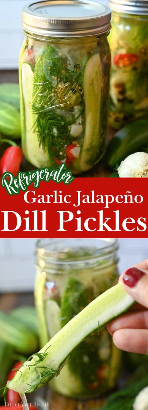 Homemade Refrigerator Pickles, Refrigerator Dill Pickles, Refrigerator Pickles Dill, Refrigerator Pickle Recipes, Garlic Dill Pickles, Dill Pickle Recipe, Refrigerator Pickles, Dill Pickles, Homemade Pickles