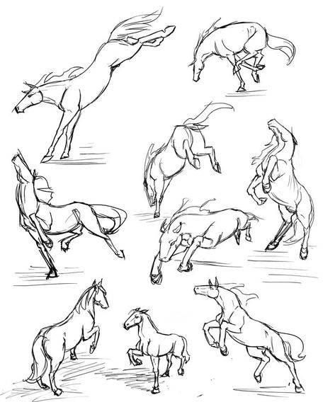 More horse studies by RasnovStables on DeviantArt Horse Drawing Reference, Kunst Inspo, Horse Art Drawing, Character Drawings, Rasy Koni, Horse Sketch, Horse Anatomy, Horse Drawing, Horse Drawings