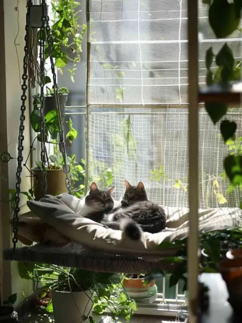 33 Smart Cat-Friendly Balcony Ideas - DigsDigs Balcony For Cats, Cat Balcony Ideas, Cat Friendly Balcony, Tiny Balcony Decor, Cat Proof Balcony, Cat Balcony, Catio Ideas, Cat Friendly Plants, Several Cat