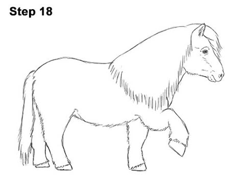 Shetland Pony Drawing 18 Mini Shetland Pony, Easy Horse Drawing, Maze Drawing, Donkey Drawing, Horse Outline, Horse Art Drawing, Horse Cartoon, Horse Sketch, Horse Inspiration