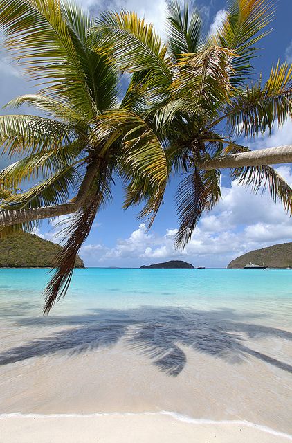 Maho Bay, St. John, US Virgin Islands Us Virgin Islands, Tropical Beaches, Beach Beauty, Beaches In The World, Virgin Islands, Tropical Islands, Tropical Beach, Beach Photos, Phuket