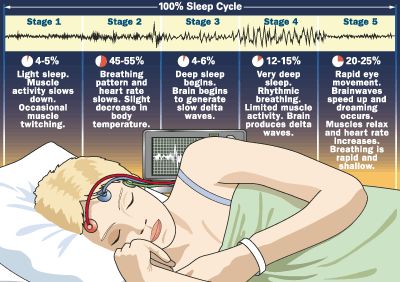 Everyone knows sleep is important but science went ahead and proved it anyway. Here's a bunch of cool info on sleep! ( I <3 sleep! ) Nyttige Tips, Info Board, Wake Up In The Morning, E Mc2, Sleep Cycle, It Goes On, Fall Asleep, Zumba, Cleaning Tips