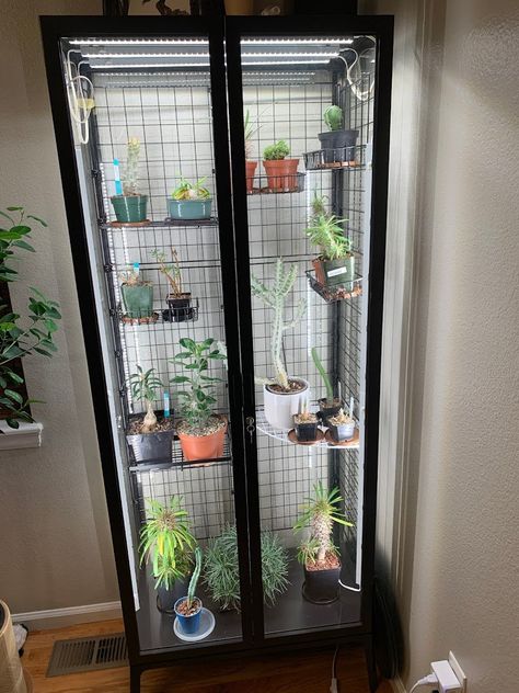 Ikea Milsbo Greenhouse, Milsbo Greenhouse, Ikea Indoor Garden, Milsbo Cabinet, Ikea Glass Cabinet, Ikea Milsbo, House Plant Accessories, Ikea Decor Hacks, Greenhouse Cabinet