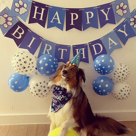 Doggie Birthday Party, Doggie Birthday, Dog's Birthday, Dog Birthday Hat, Blue Costumes, Cartoon Theme, Birthday Party Outfits, Dog Birthday Party, Bandana Dog