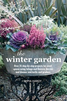 Winter Window Boxes, Winter Crops, Winter Gardening, Vertical Herb Garden, Winter Window, Container Gardening Flowers, Winter Flowers, Kew Gardens, About Money